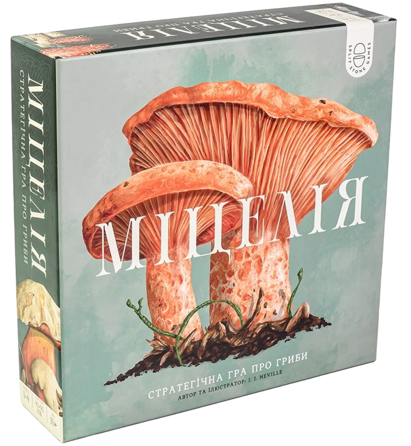 Настольная игра Мицелия